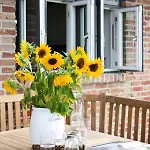Reetdorf Geltinger Birk Malerhaus Landspitze Casa vacanze Nieby (Nieby, Schleswig-Flensburg)